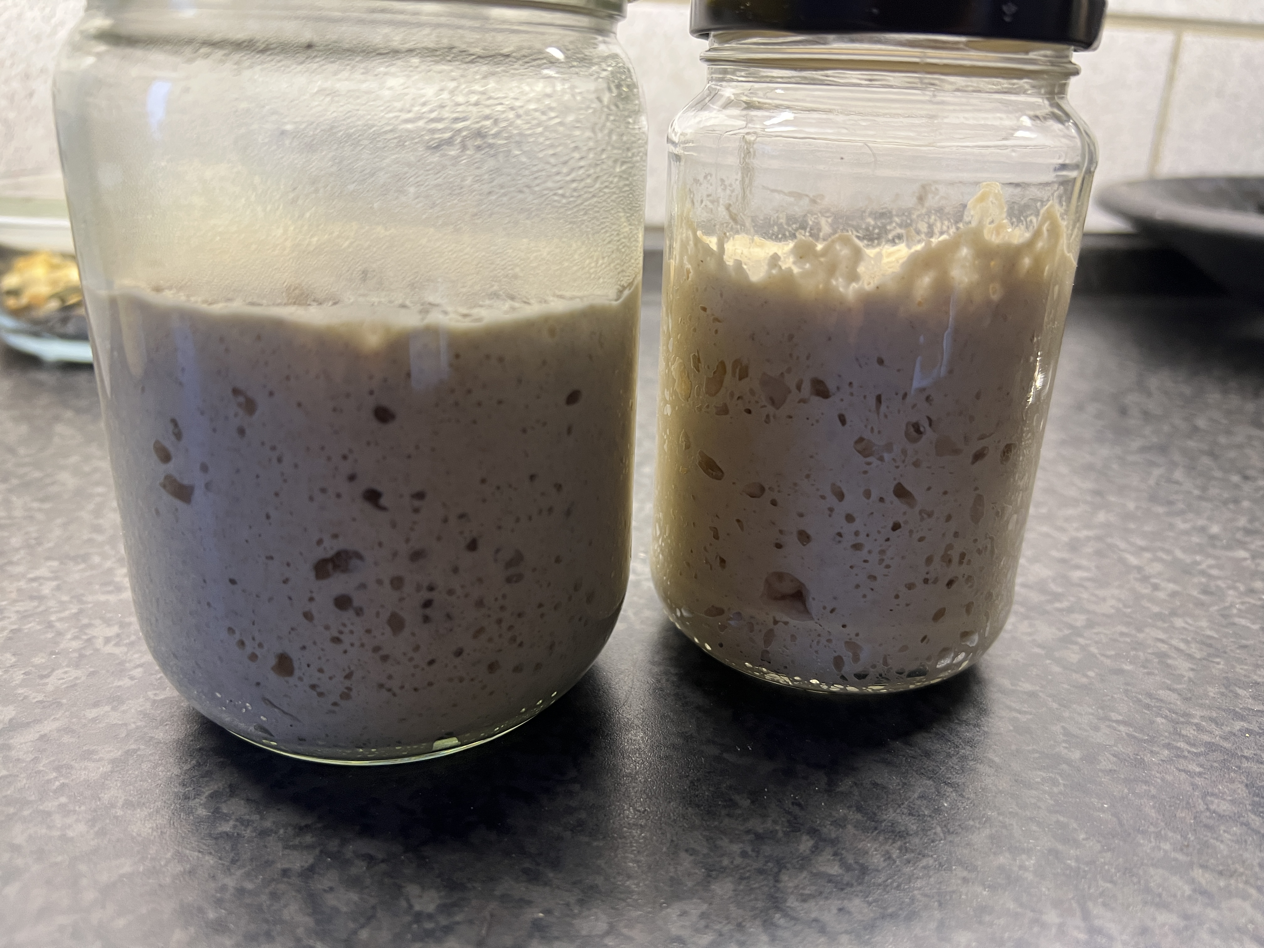 Sauerteig für alle Fälle